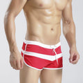 Summer and Autumn Men's Lace-up Shorts Lace-up Moisture-wicking Mesh Swimming Trunks Sports Home Swimming Trunks E-039