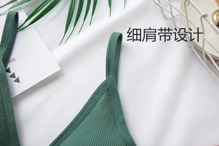 Women's Crop Top Ribbed Tube Top U-Back Comfort Bra Streetwear Camis Sexy Lingerie Seamless Underwear Sports Tank Bralette M-XL