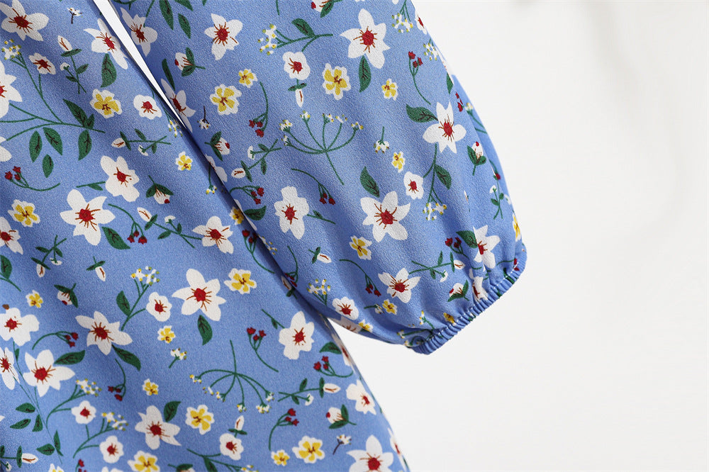 Cross-border Foreign Trade Floral Chiffon Long Dress Women's Spring Dress Long Sleeve Crewneck Base Skirt Waist Slim Long Dress