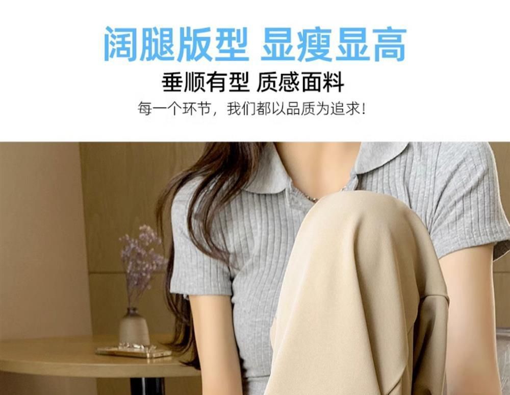 Ice Silk Thin Narrow Wide-Leg Suit Pants for Women, Summer Casual Pear-Shaped Body Slimming Drape Straight Sunscreen Pants