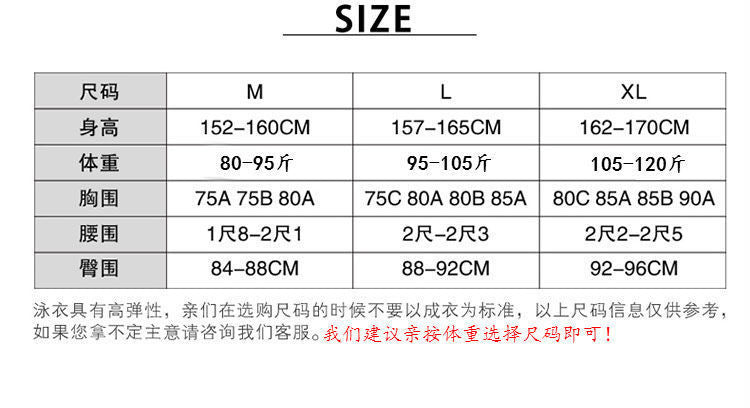 Swimsuit for Female Students, Three-Piece Set, 2025 New Style, Tummy-Covering, Slimming, Sun-Protective, Internet-Famous, Conservative Two-Piece Swimsuit for Women