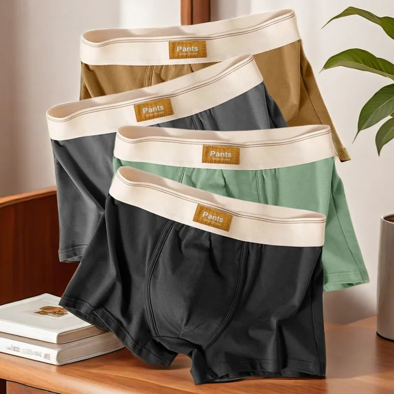 3Pcs Men Panties Cotton Boxershorts Man Underwear Mens Boxers Breathable U Convex Male Underpants Sexy Trunks