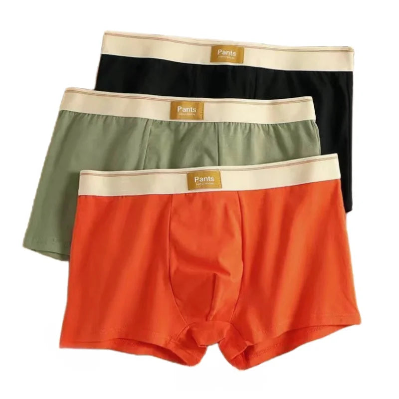 3Pcs Men Panties Cotton Boxershorts Man Underwear Mens Boxers Breathable U Convex Male Underpants Sexy Trunks