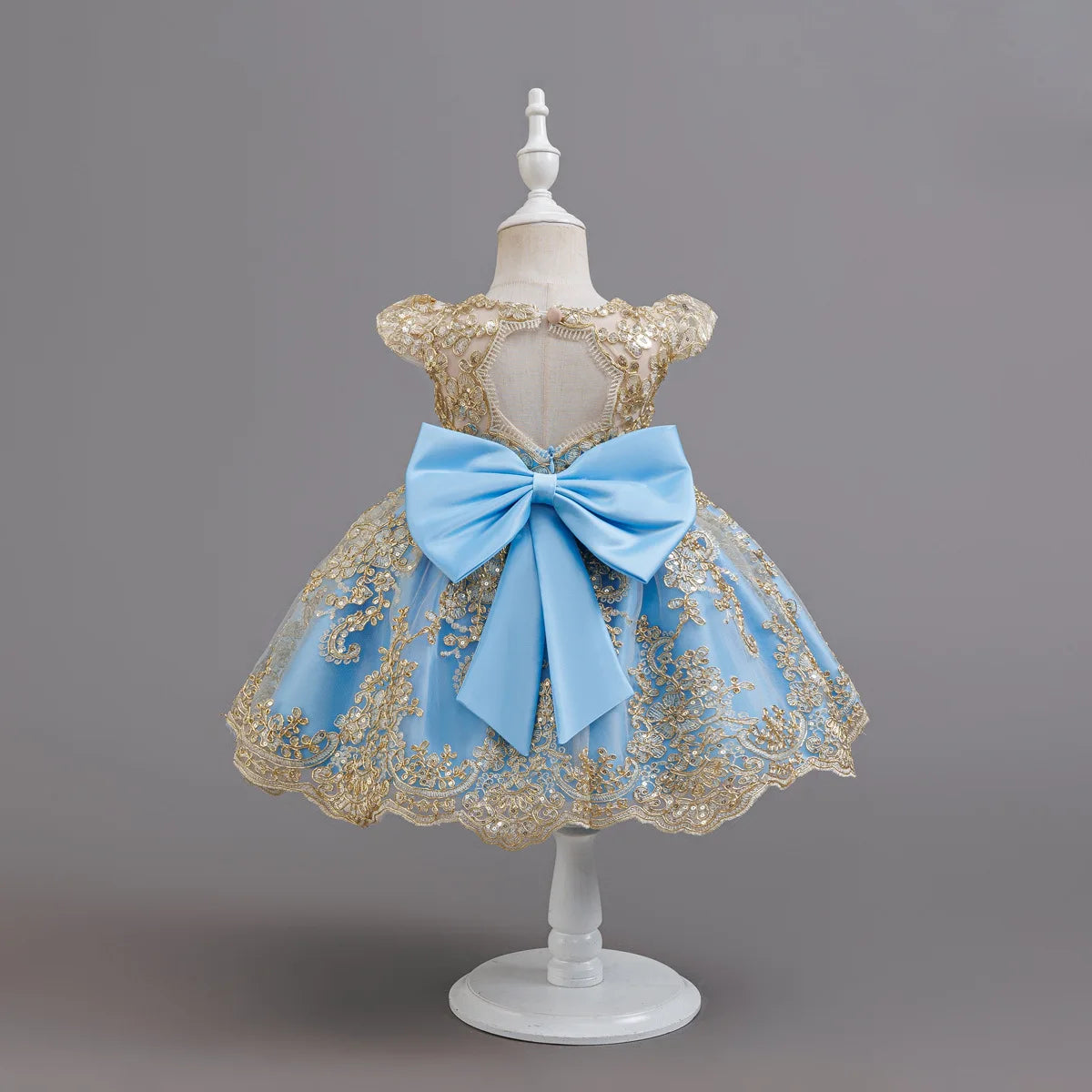 HETISO Children's Dress Princess Embroidery Lace Flower Girls Holiday Party Ball Gown Little Kids Summer Costume 1-6Y