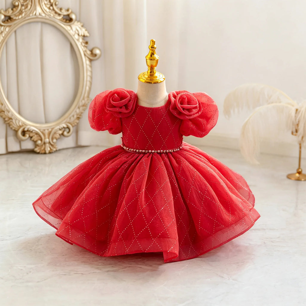HETISO Flower Girls Princess Dress Beaded Kids Ball Gown for Wedding Child Birthday Party Custom 1-4 Years