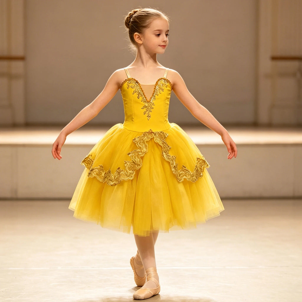 Adults Children Embroidery Gauze Lyrical Contemporary Dance Costume Group Party Stage Tutu Adult Kids Competition Dance Clothes
