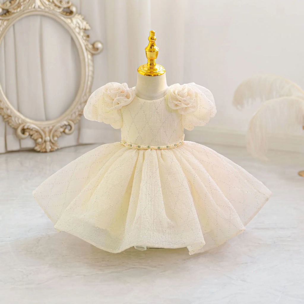 HETISO Flower Girls Princess Dress Beaded Kids Ball Gown for Wedding Child Birthday Party Custom 1-4 Years