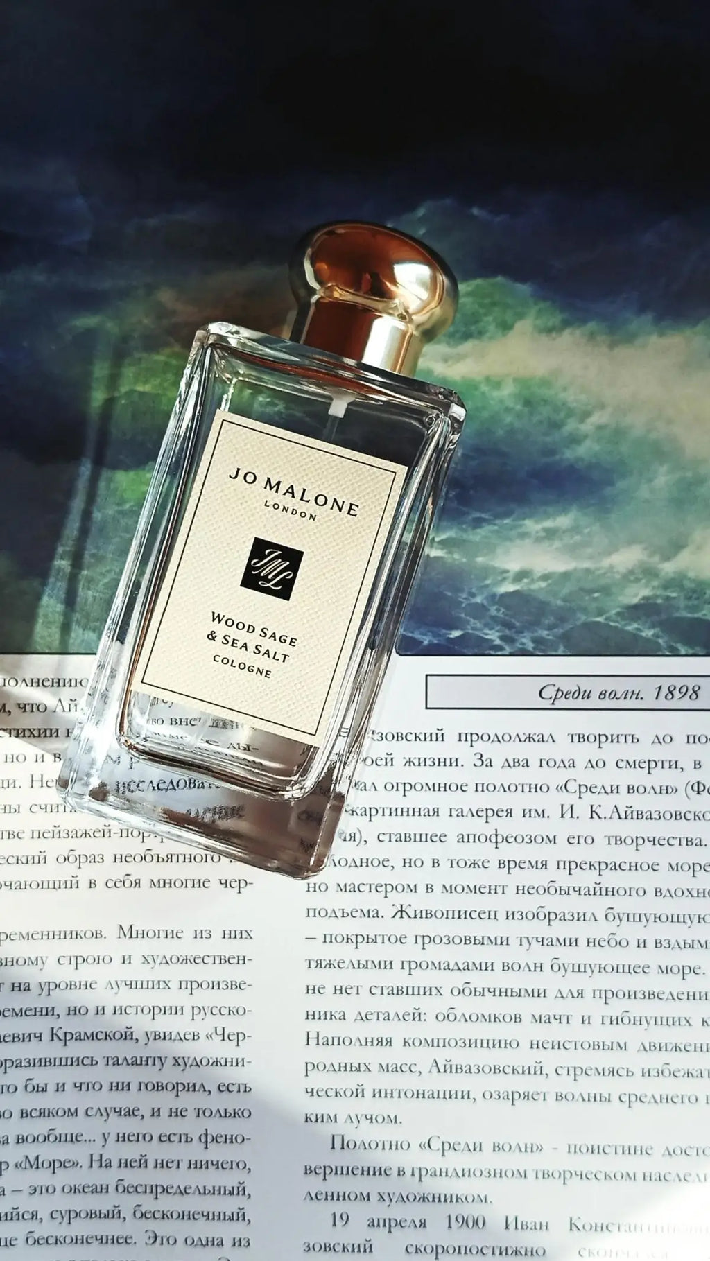 Jo Malone Wood Sage & Sea Salt Cologne 100ml Fresh Marine Woody Fragrance Long Lasting Unisex Perfume Luxury Gift