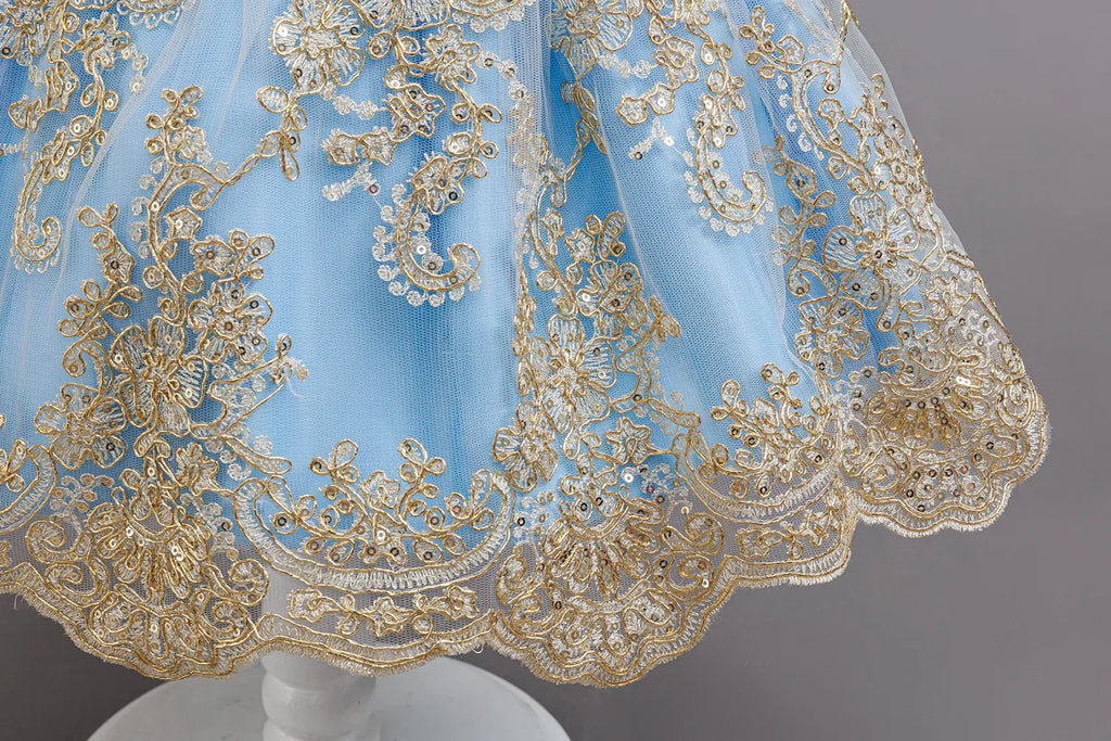 HETISO Children's Dress Princess Embroidery Lace Flower Girls Holiday Party Ball Gown Little Kids Summer Costume 1-6Y