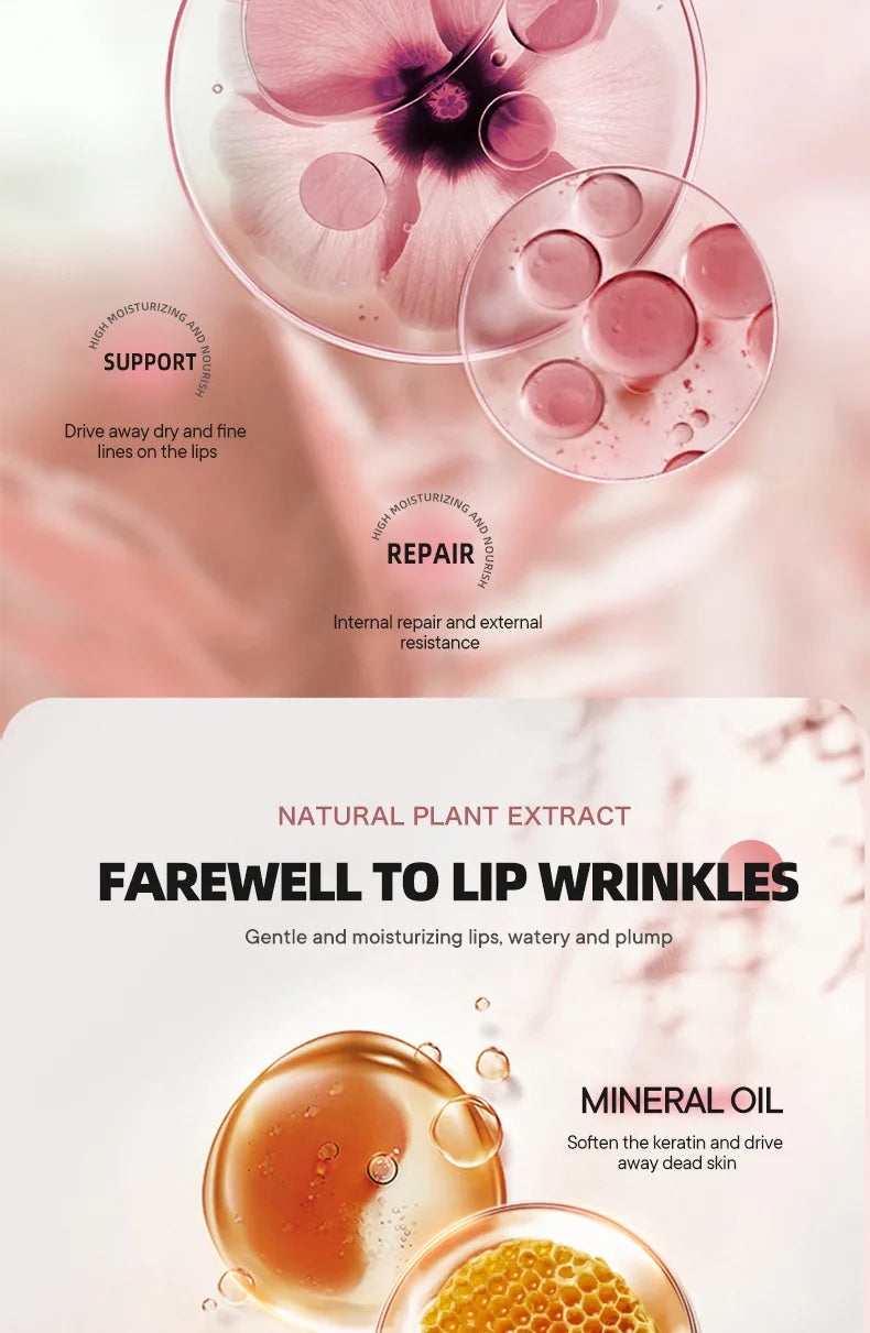 Twist Up Solid Lipstick Stick Moisturizing Pink Shine Glossy Long Lasting Smooth Lip Color Crayon Party Festival Daily Makeup