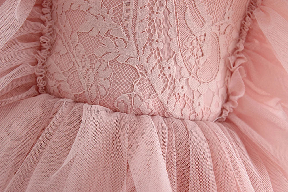 HETISO Summer Girls Birthday Dresses Pink Lace Formal Event Costumes Kids First Communion Gown Flower Wedding Dress 1-6T