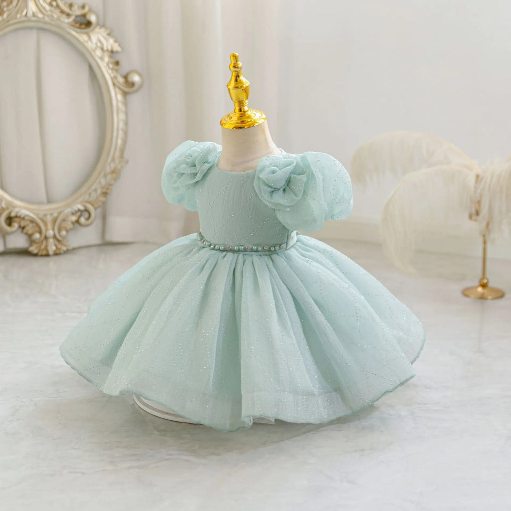HETISO Flower Girls Princess Dress Beaded Kids Ball Gown for Wedding Child Birthday Party Custom 1-4 Years