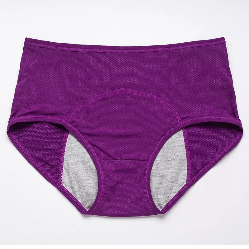 2Pcs Women'S'S Physiological Briefs Girl Menstrual Panties Ladies Period Leak Proof Panty Mid Waist Ice Silk Underwear