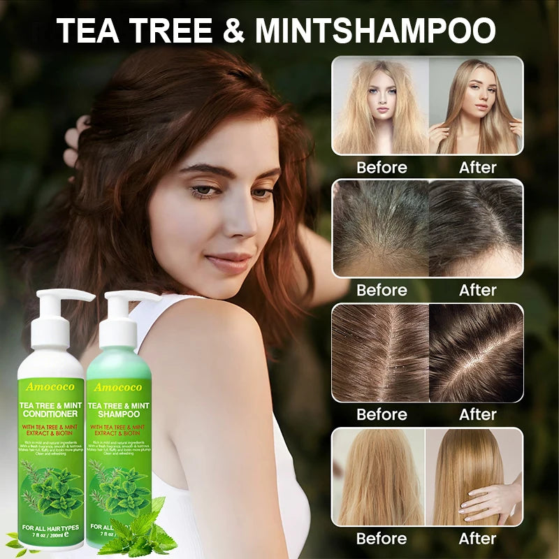 Amococo Tea Tree Shampoo and Conditioner Set - 2 x 200ml