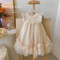 New Summer Kids Girls Lace Tulle Dress Fly Sleeve Ruffle Mesh Princess Gown Wedding Flower Girl Birthday Costume YF900