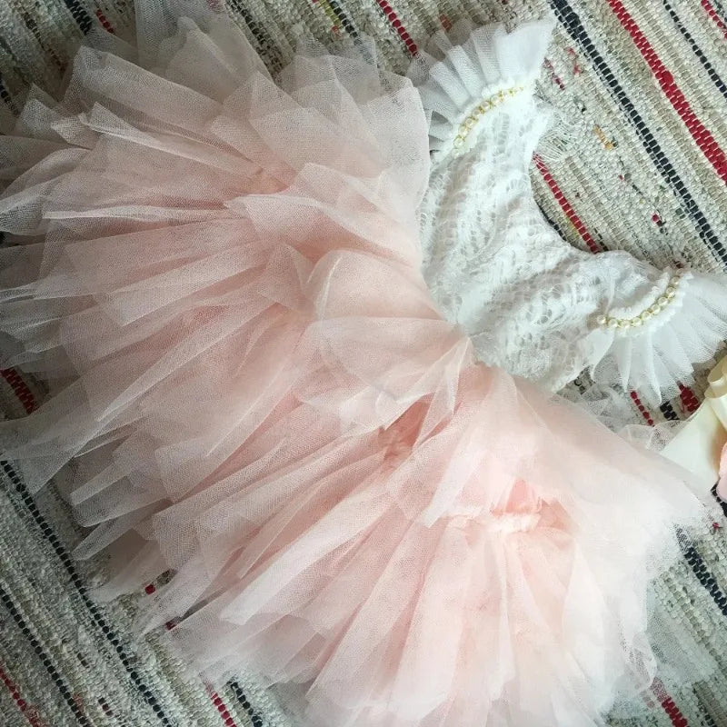 Flower Girl Lace Tulle Dress Elegant Princess Weddings Birthday Party Costumes for 3m To 7y Girls Baptism Festival Ball Gown