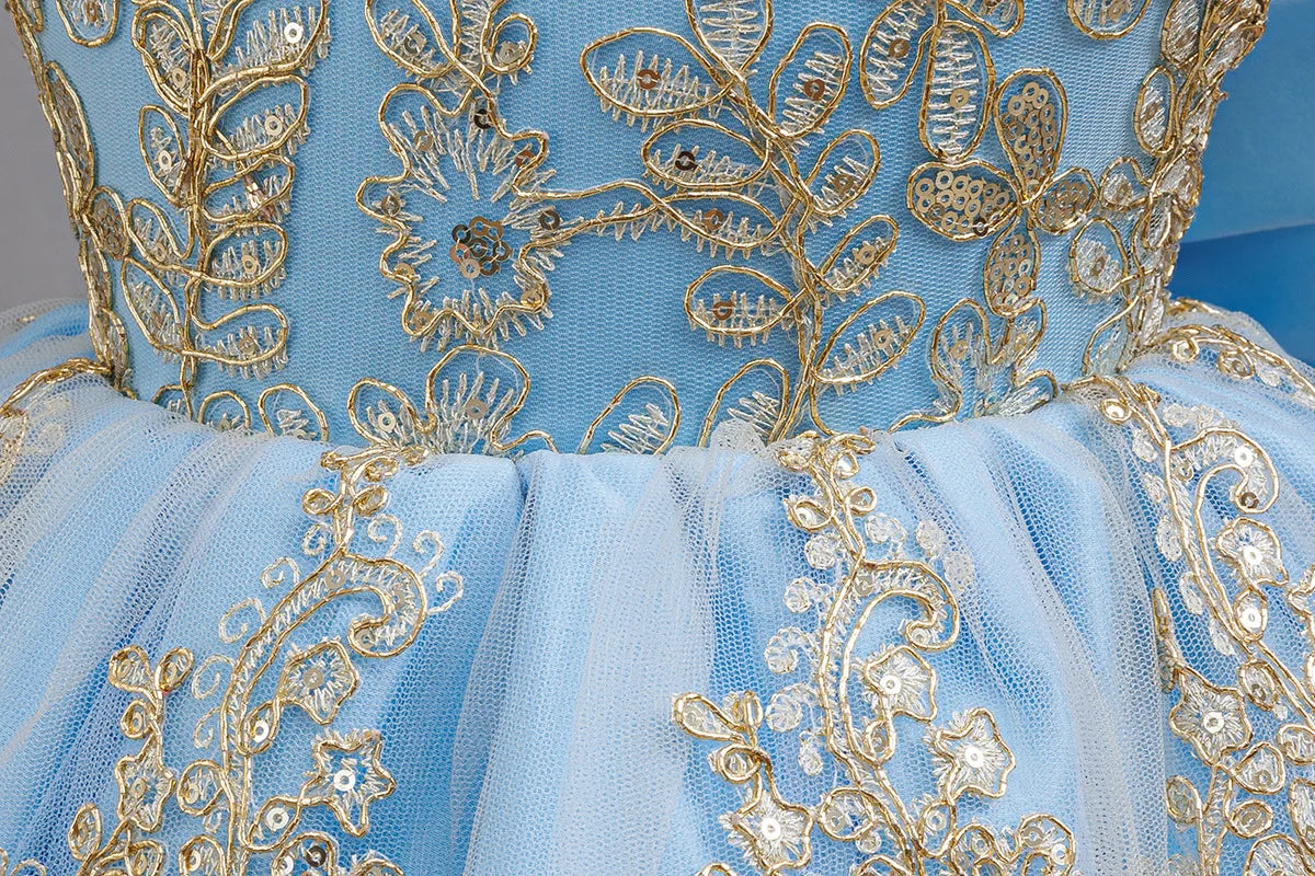 HETISO Children's Dress Princess Embroidery Lace Flower Girls Holiday Party Ball Gown Little Kids Summer Costume 1-6Y
