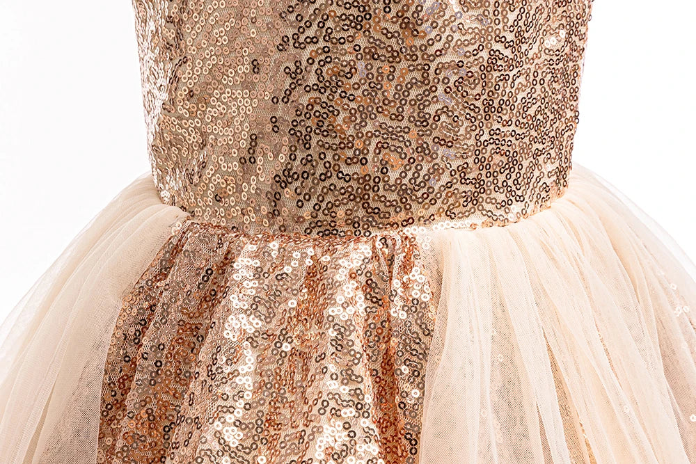 HETISO Fashion Girls Sequin Princess Dress Tulle Sleeveless Banquet High end Lace Evening Ball Gown for Kids Child 2-6 Years