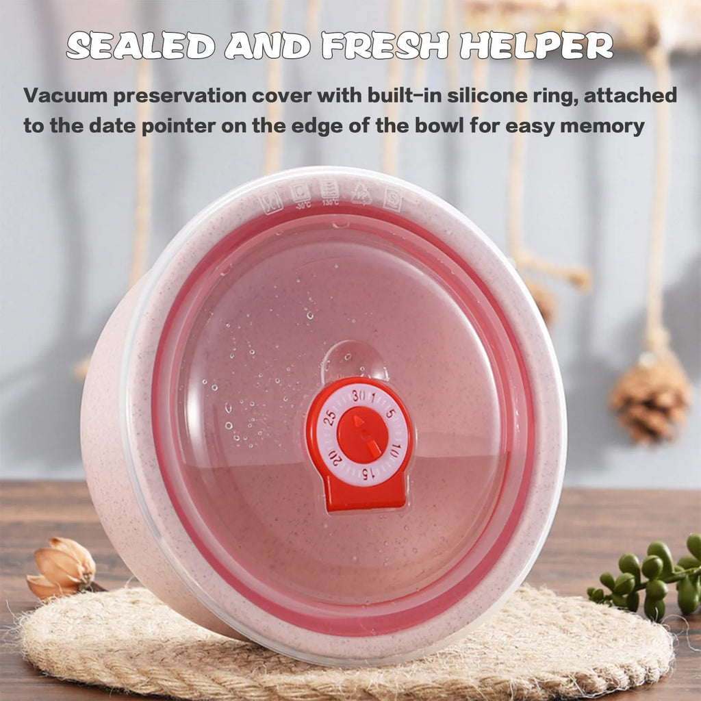 3pcs Food Storage Containers Bento Box Lightweight Food Storage Containers for Kitchen Storage Picnic Meal Prep Take Out