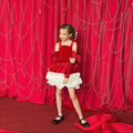 Luxe Velvet Girls Birthday Dress