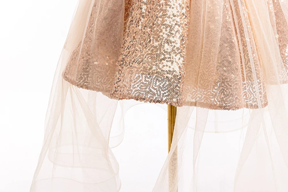 HETISO Fashion Girls Sequin Princess Dress Tulle Sleeveless Banquet High end Lace Evening Ball Gown for Kids Child 2-6 Years