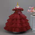 HETISO Fluffy Tulle Layering Girls Prom Dresses Lace Long Luxurious Evening Wedding Party Ball Gown 3-12 Years