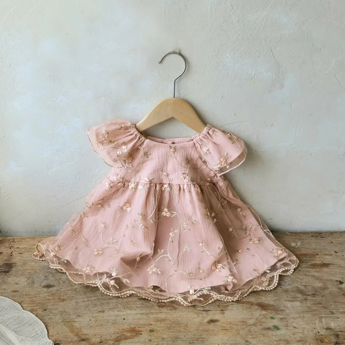 AllChild Baby Girl Princess Dress - Floral Embroidery Mesh A-Line
