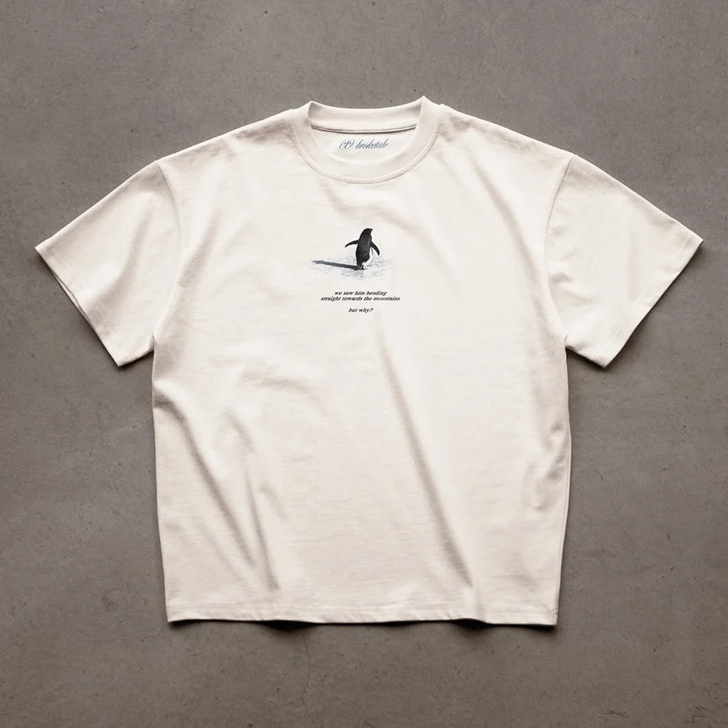 Y2K Men's T-shirt Fashion Broketale Snow Mountain Penguin Print Graphic Round Neck Shirt Oversized Unisex Casual Men's Clothing