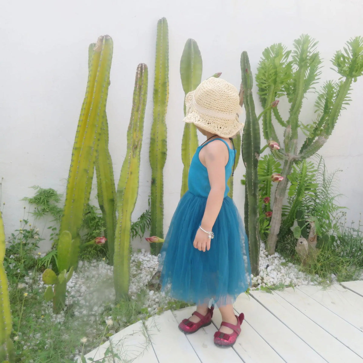 Girls Ribbed Tulle Dress - Sleeveless Princess Gown with Layered Skirt for Toddlers Party Dress for Kids Girl Girls Clothes