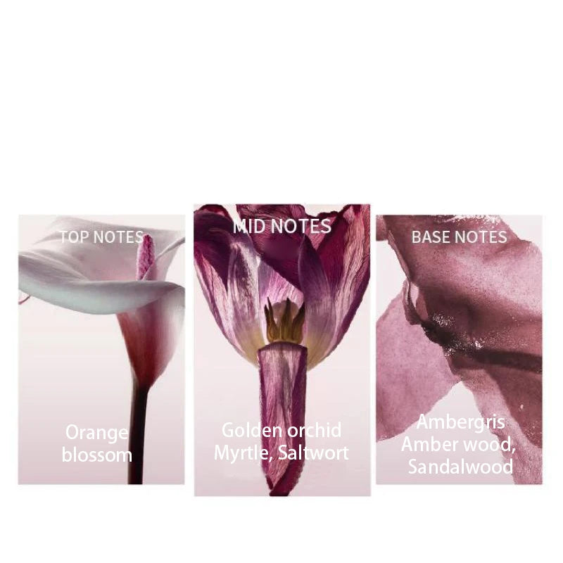 Brand Fresh Sweet Women' Perfume Premium Freesia Grapefruit Sandalwood Eau de Toilette lasting Fragrance Romantic Date Fragrance