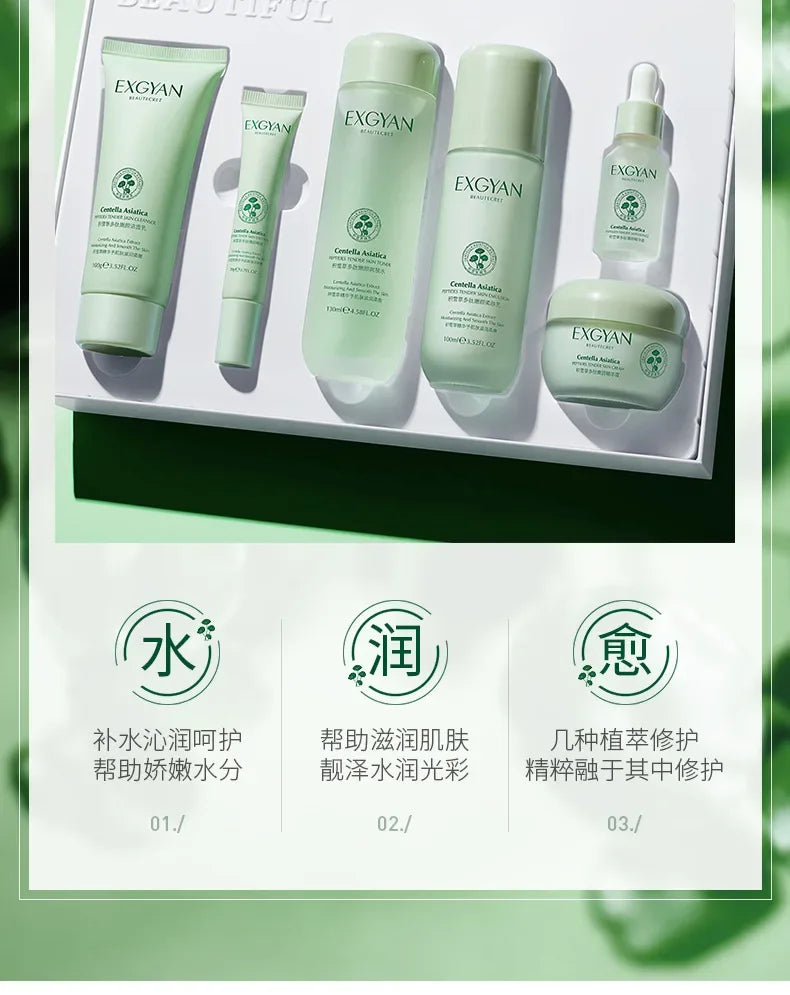 Centella Asiatica Polypeptide Skin Care Set Aloe Moisturizing Oil-controlling Face Serum Cream Lotion Set Ascorbic Acid Essence