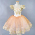 Dance Costumes Girls Dresses Cosplay Girl Ballet Leotards Baby Outfit Vestidos Summer Children Ballet Dress Tutu Kids Clothes