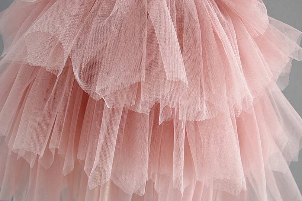 HETISO Summer Girls Birthday Dresses Pink Lace Formal Event Costumes Kids First Communion Gown Flower Wedding Dress 1-6T