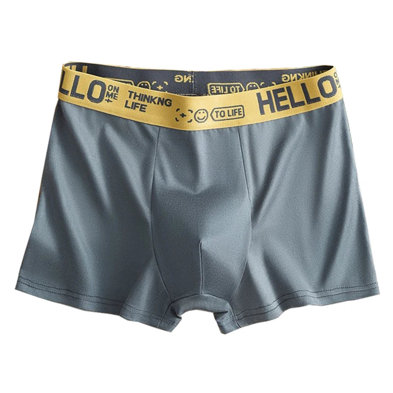 Men's Mid-Waist Thin Sports Briefs Breathable Comfortable Large Size Boxer Shorts Youth Comfortable Flat Angle Underwear