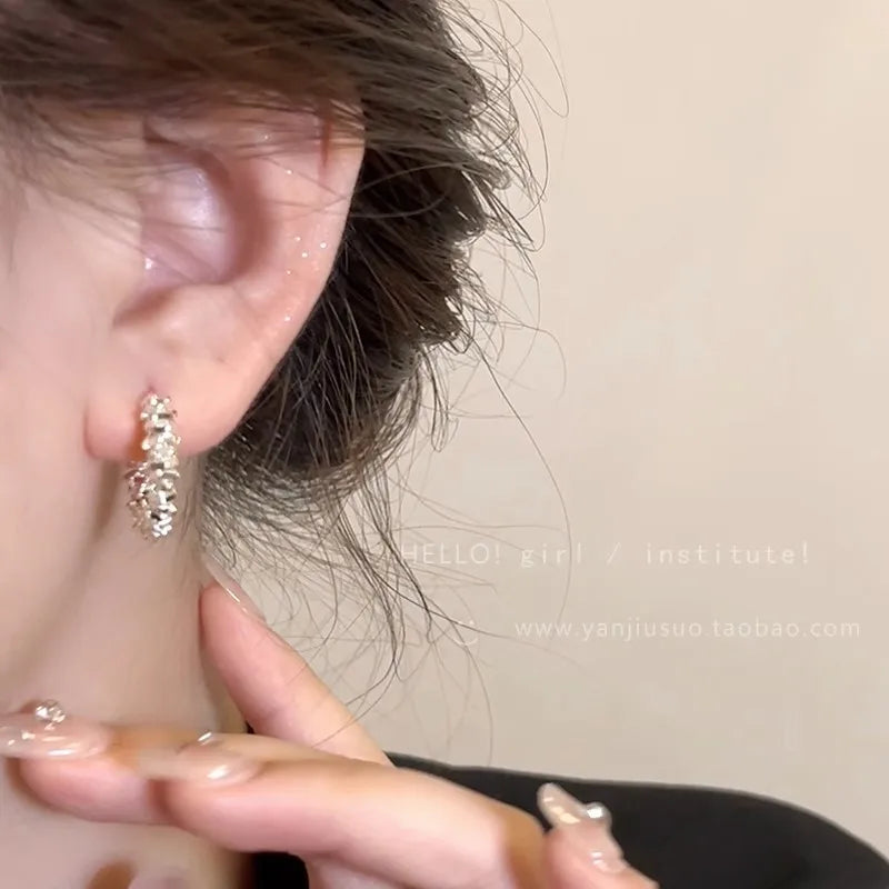 Irregular Silver Dust Earrings Women's Niche Design Luxury Feel Studs Fashionable Geometric Alloy Ear Jewelry