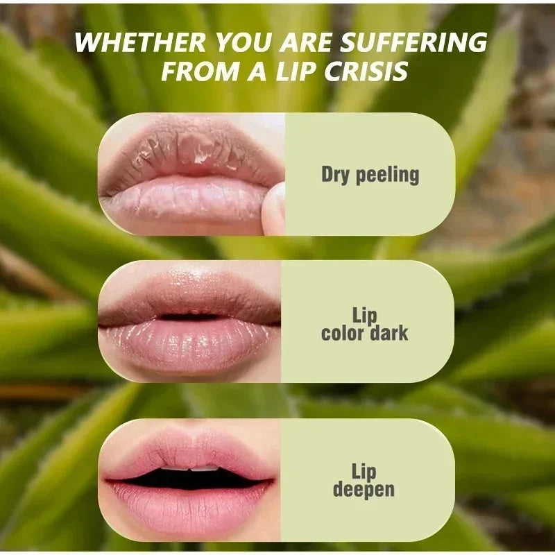 6-Piece Lip Gloss Oil Set,Aloe Vera Liquid Lipstick, Long-Lasting Moisturizing Smudge-Proof Lips Tint ,Non-Sticky Cosmetics