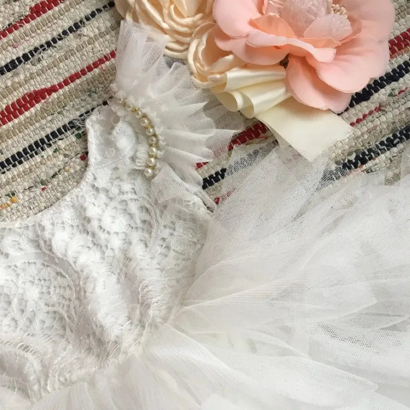Flower Girl Lace Tulle Dress Elegant Princess Weddings Birthday Party Costumes for 3m To 7y Girls Baptism Festival Ball Gown