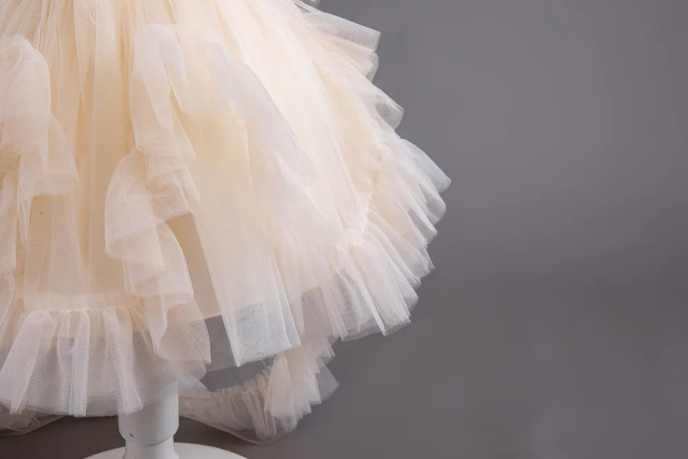HETISO Girl Christmas Dresses Trailing Kid's Dress for Girls Retro Lace Sequined Children's Wedding Party Ball Gown 6 8 10 Years