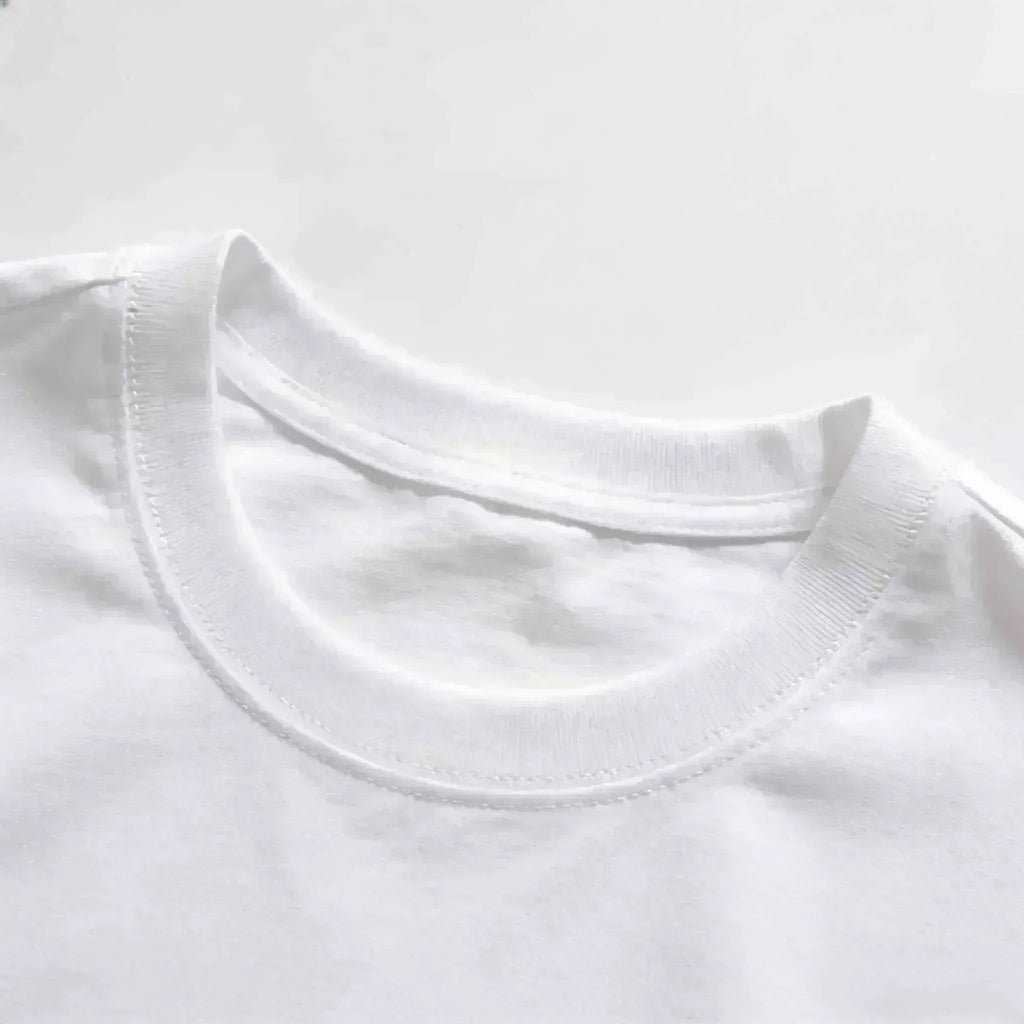 100_ cotton men's short sleeve T-shirt fashion brand Paul Pony embroidery summer new high-end comfortable casual round neck top