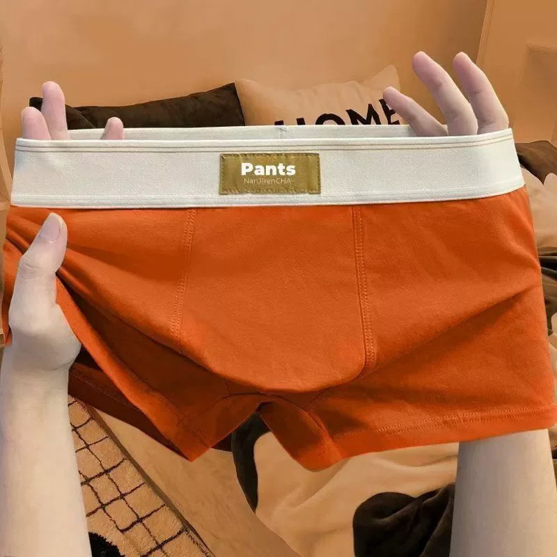 4 Pack Cotton Boxers For Men Breathable Comfort Sports Underwear Large Size L XL Pack