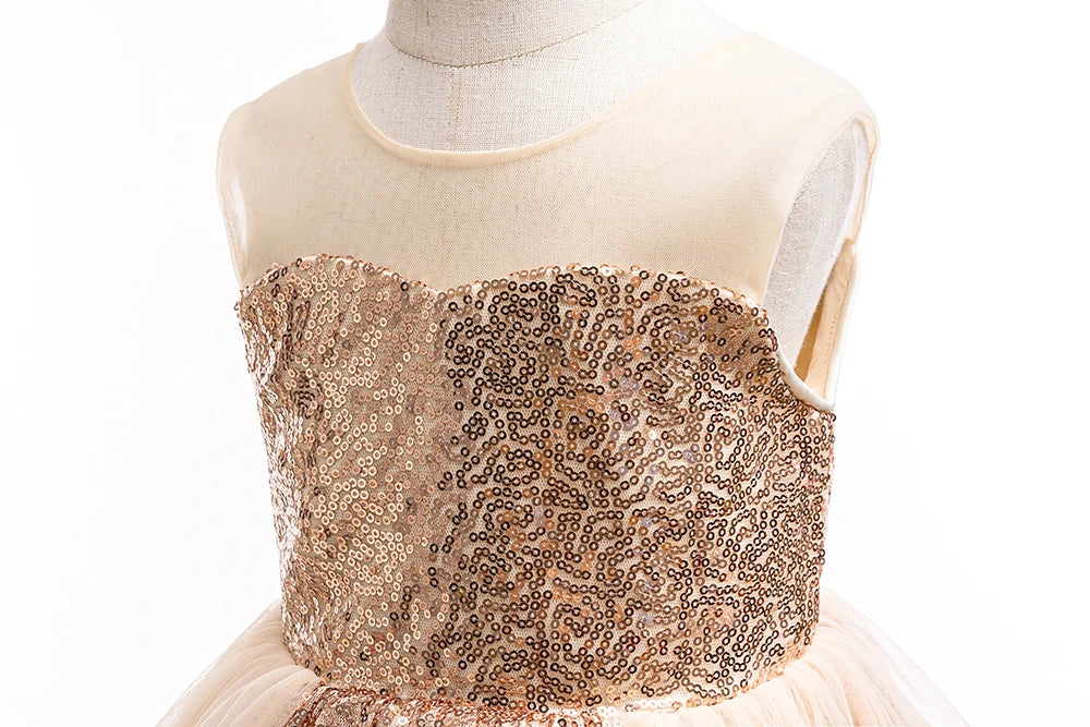 HETISO Fashion Girls Sequin Princess Dress Tulle Sleeveless Banquet High end Lace Evening Ball Gown for Kids Child 2-6 Years