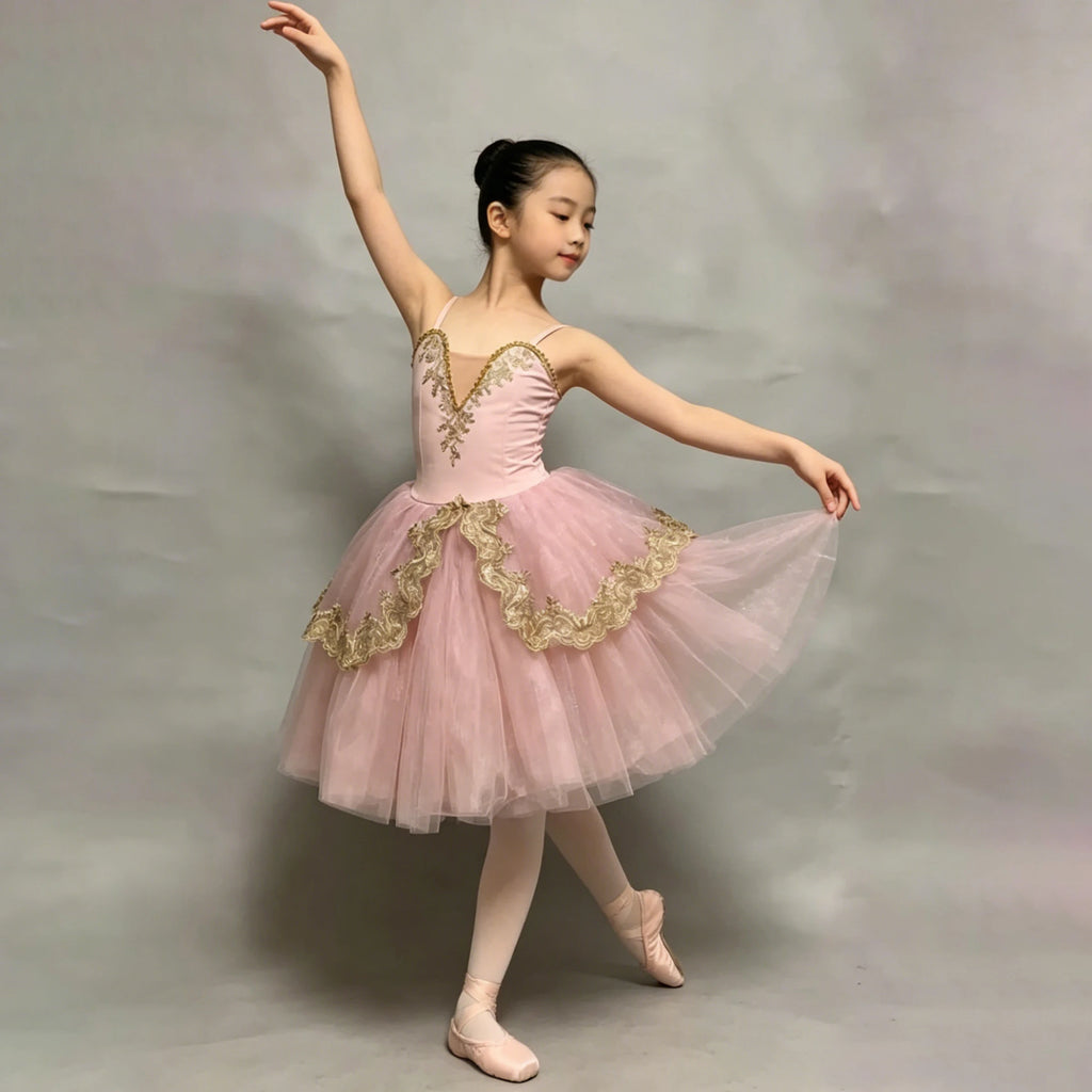 Adults Children Embroidery Gauze Lyrical Contemporary Dance Costume Group Party Stage Tutu Adult Kids Competition Dance Clothes